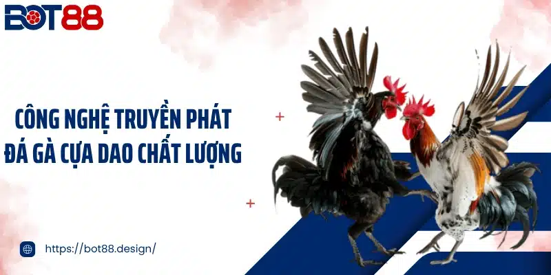 Công nghệ truyền phát đá gà cựa dao chất lượng